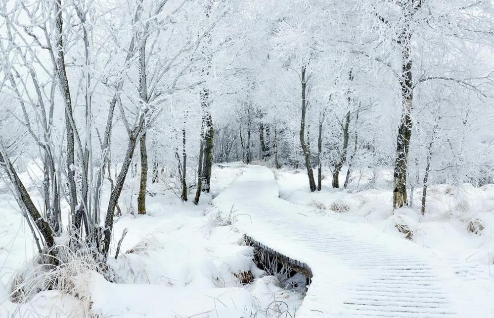Le Doux Ny Villa Stoumont Kültér fotó